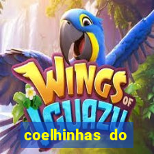 coelhinhas do brasil recife